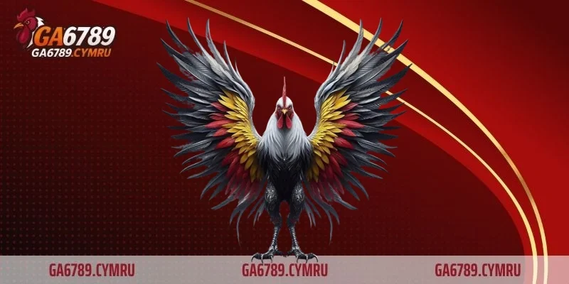 Tìm hiểu kỹ luật chơi và hình thức đá gà