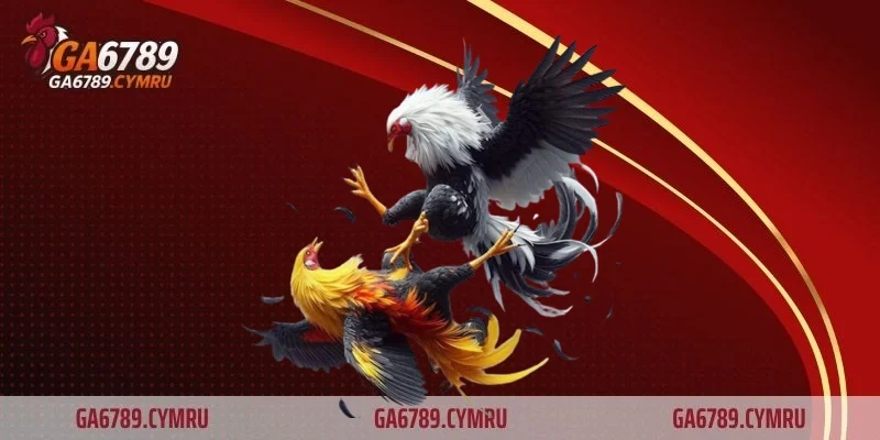 Tổng quan về sách coi vảy gà