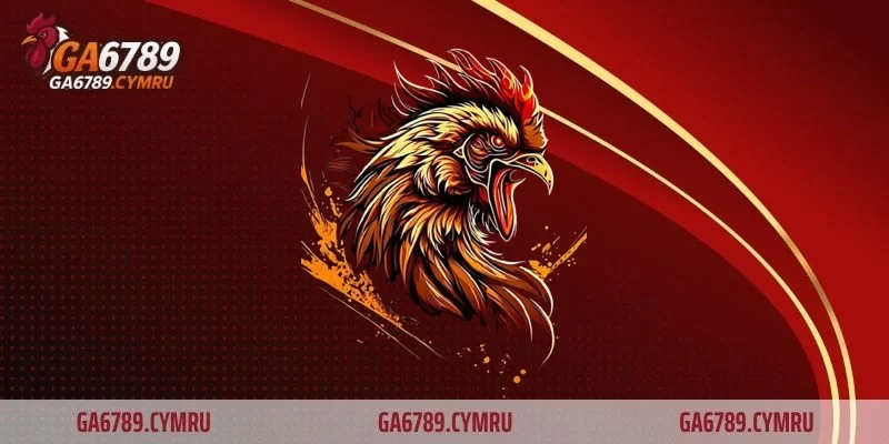 Sân chơi hợp pháp và minh bạch