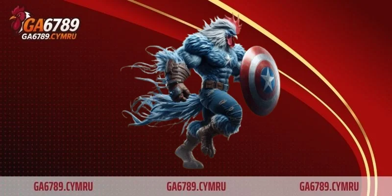 Tổng quan về luật đá gà miền bắc