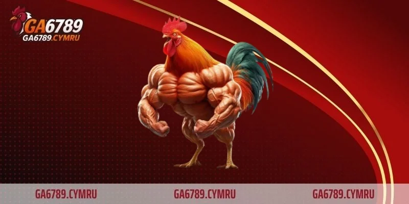 Sức hút khủng khiếp của trận đá gà 50 tỷ