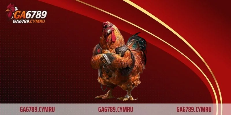 Khẳng định giá trị chiến kê thuần Việt