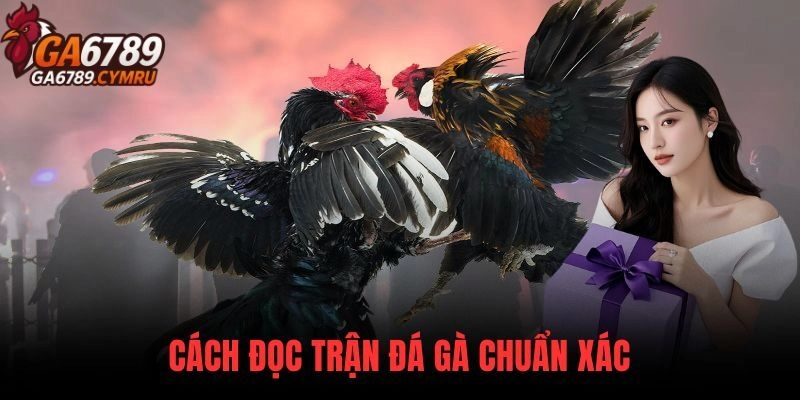 Cách Đọc Trận Đá Gà Chuẩn Xác Dành Cho Người Mới Và Kê Thủ