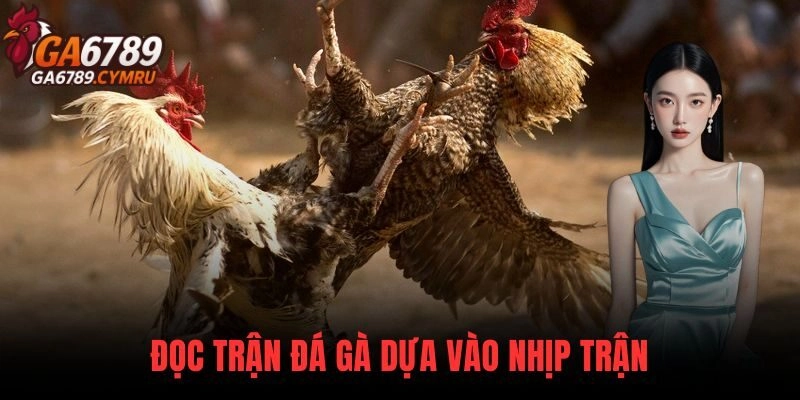 Cách Đọc Trận Đá Gà dựa vào nhịp trận